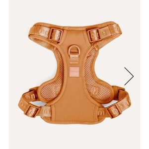 Maxbone Go! With Ease Leash Bundle size small